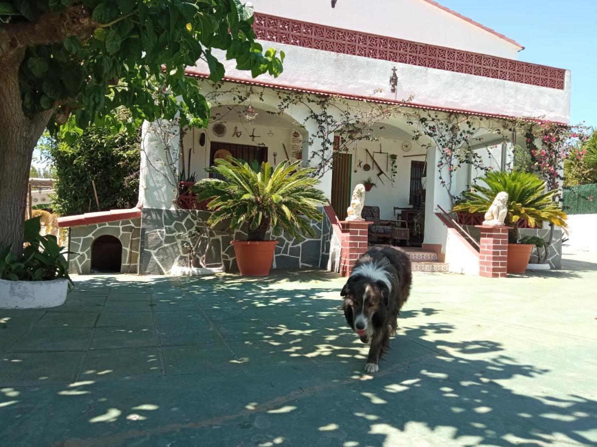 Casa Rural Cal Josefina & Tomas La Riera  Екстер'єр фото